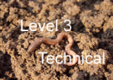 Level 3 Technical course image