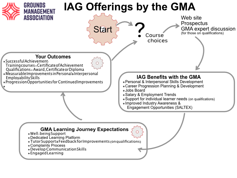 IAG Offerings